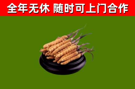 石龙区烟酒回收冬虫夏草.jpg