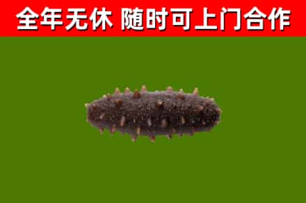石龙区烟酒回收干海参.jpg